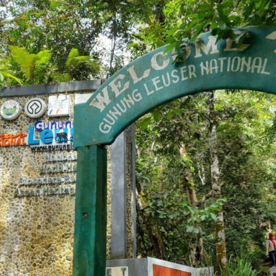 Gunung Leuser