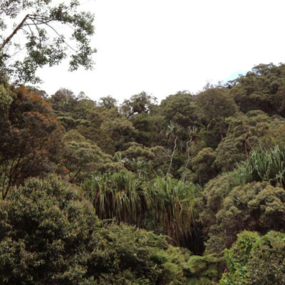 Gunung Gandang Dewata