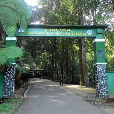 Gunung Halimun Salak