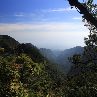 Gunung Halimun Salak