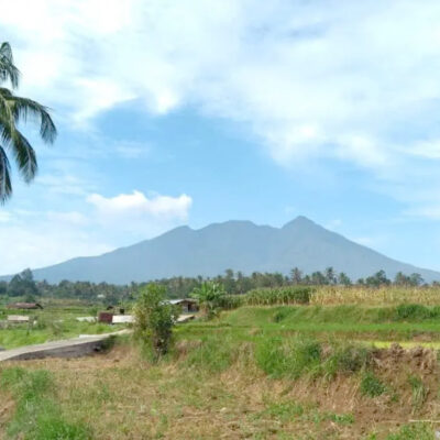 Gunung Sago
