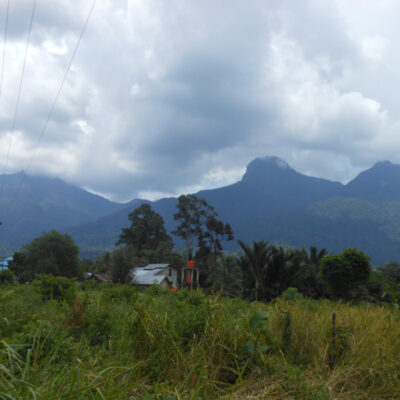 Jalur Pendakian Gunung Bawang