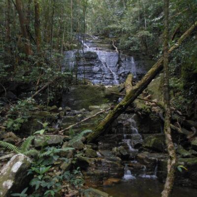 Jalur Pendakian Gunung Bawang