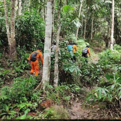 Jalur Pendakian Gunung Hauk