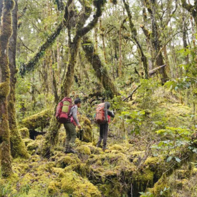 Jalur Pendakian Gunung Kapalatmada