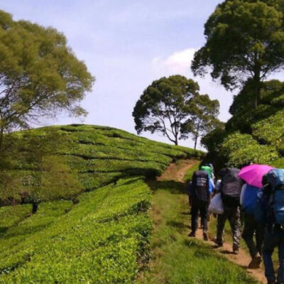 Jalur Pendakian Gunung Kendang
