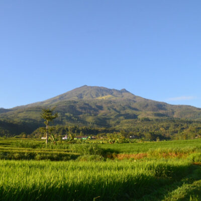 Jalur Pendakian Gunung Lawu