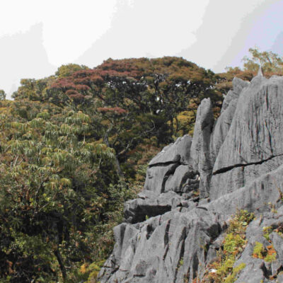 Jalur Pendakian Gunung Mekongga