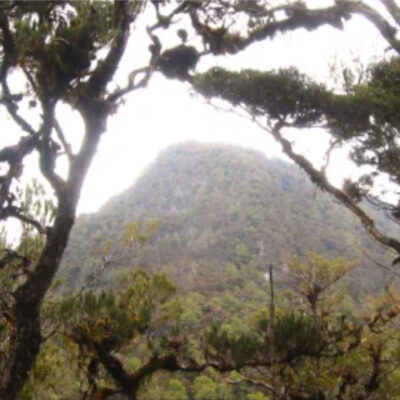 Jalur Pendakian Gunung Mekongga
