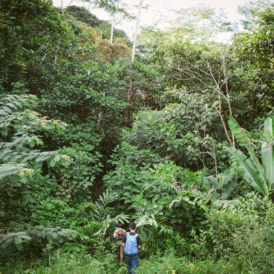 Jalur Pendakian Gunung Niut