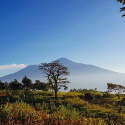 Jalur Pendakian Gunung Panderman