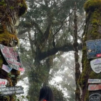 Jalur Pendakian Gunung Patah