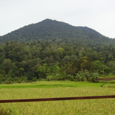 Jalur Pendakian Gunung Pulosari
