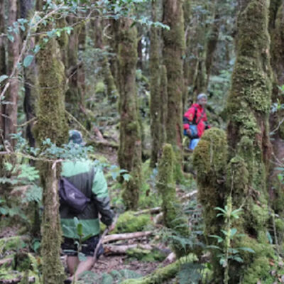 Jalur Pendakian Gunung Rorekatimbu