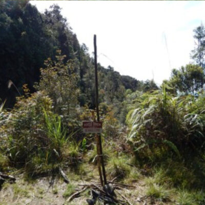 Jalur Pendakian Gunung Rorekatimbu