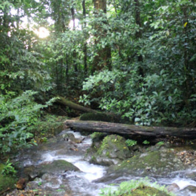 Jalur Pendakian Gunung Saran
