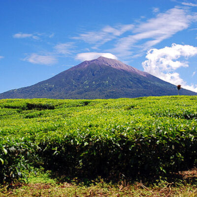 Jalur Pendakian Gunung Seblat