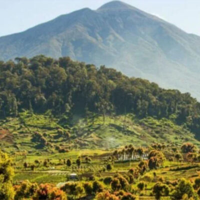 Jalur Pendakian Gunung Seblat