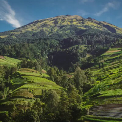 Jalur Pendakian Gunung Sumbing