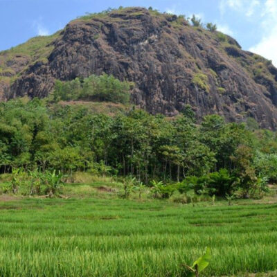 Jalur Pendakian Gunung Wayang