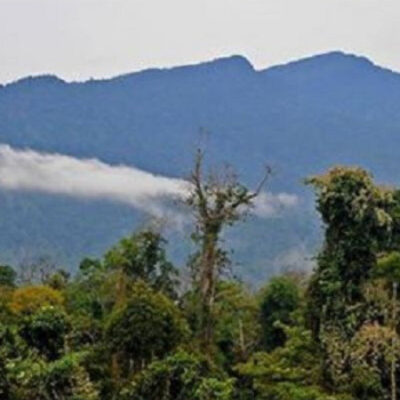 Jalur Pendakian Gunung Beriun