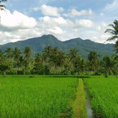Jalur Pendakian Gunung Betung