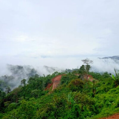 Jalur Pendakian Gunung Betung