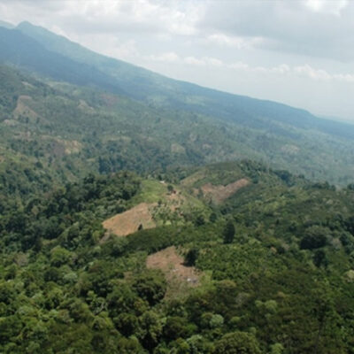 Jalur Pendakian Gunung Betung