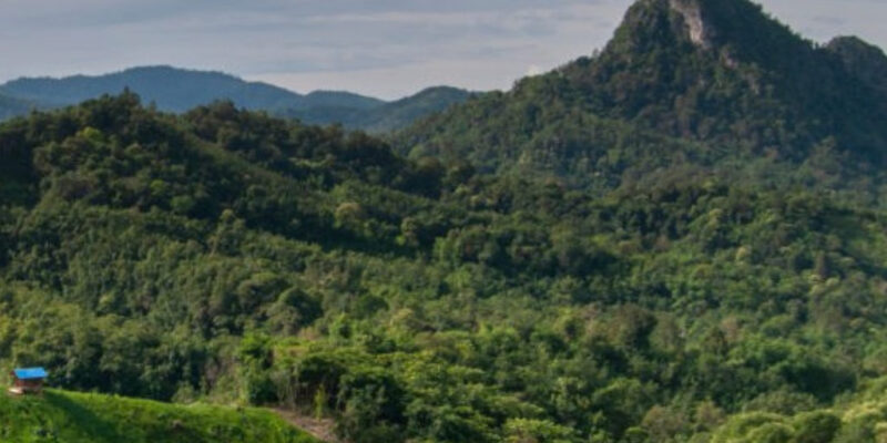 Jalur Pendakian Gunung Gambuta