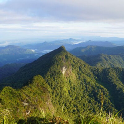 Jalur Pendakian Gunung Halau-Halau