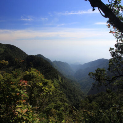 Jalur Pendakian Gunung Halimun