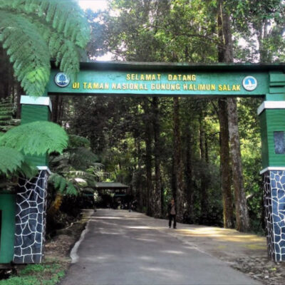 Jalur Pendakian Gunung Halimun