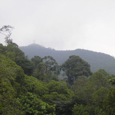 Jalur Pendakian Gunung Jantan