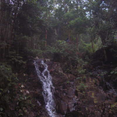 Jalur Pendakian Gunung Jantan