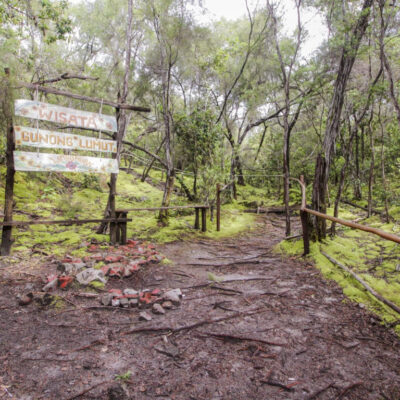 Jalur Pendakian Gunung Lumut