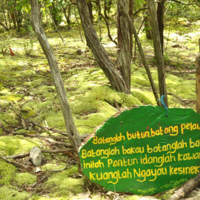 Jalur Pendakian Gunung Lumut