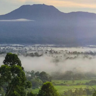 Jalur Pendakian Gunung Pesagi