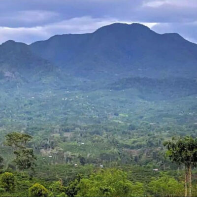 Jalur Pendakian Gunung Pesagi