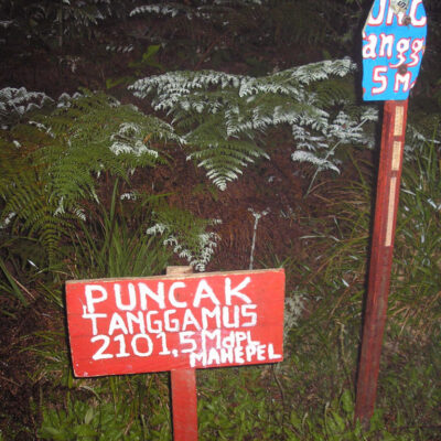 Jalur Pendakian Gunung Tanggamus