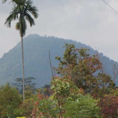 Jalur Pendakian Gunung Tangkit Tebak
