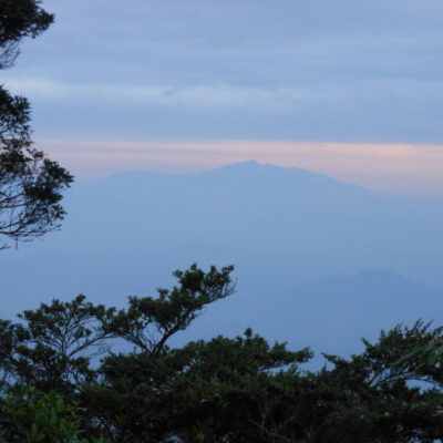 Jalur Pendakian Gunung Tangkit Tebak