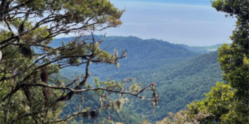 Jalur Pendakian Gunung Yile-Yile (Ile-Ile)
