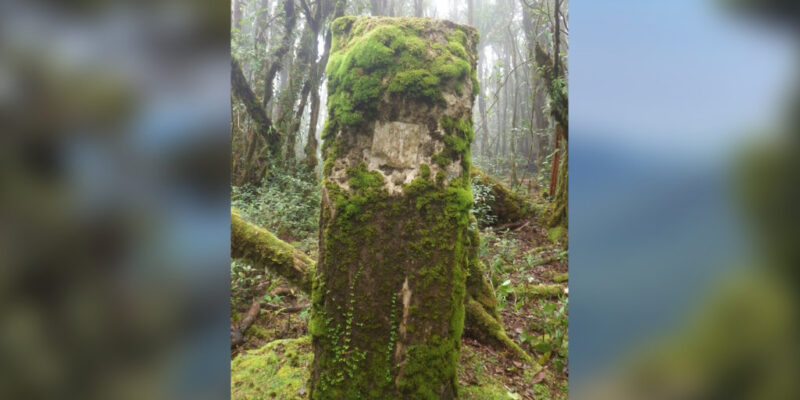 Jalur Pendakian Gunung Yile-Yile (Ile-Ile)